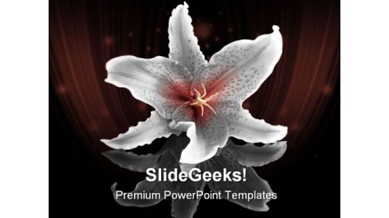 Lily Flower Beauty PowerPoint Backgrounds And Templates 1210 Lily Flower Beauty PowerPoint Backgrounds And Templates 1210
