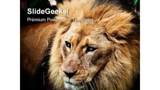 Lion Portrait Animals PowerPoint Templates And PowerPoint Backgrounds 0211