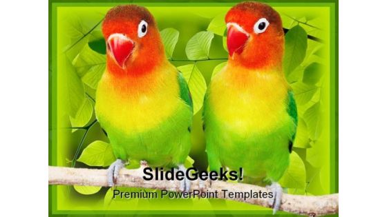 Love Birds Parrots Animals PowerPoint Templates And PowerPoint Backgrounds 0111 Love Birds Parrots Animals PowerPoint Templates And PowerPoint Backgrounds 0111