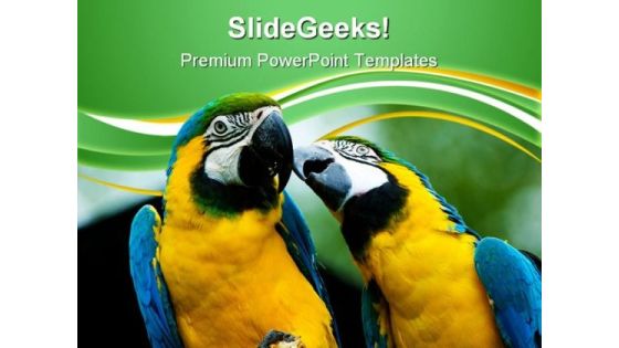 Love Parrots Animals PowerPoint Templates And PowerPoint Backgrounds 0611