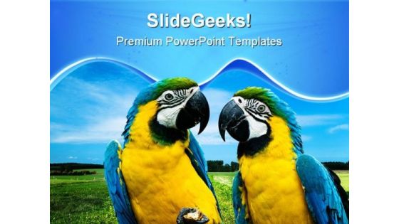 Love Parrots Beauty PowerPoint Templates And PowerPoint Backgrounds 0611 Love Parrots Beauty PowerPoint Templates And PowerPoint Backgrounds 0611