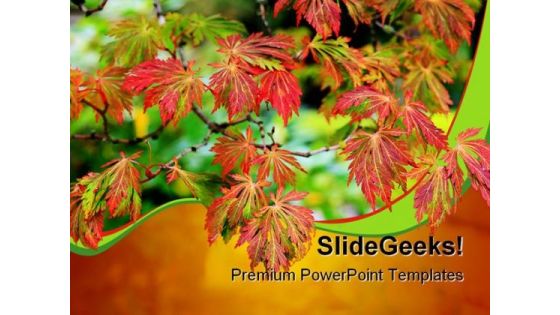 Maple Tree Nature PowerPoint Backgrounds And Templates 0111