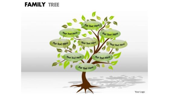 Mba Models And Frameworks Family Tree 1 Strategy Diagram