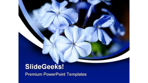 Moonlight Blue Flowers Beauty PowerPoint Templates And PowerPoint Backgrounds 0311 Moonlight Blue Flowers Beauty PowerPoint Templates And PowerPoint Backgrounds 0311