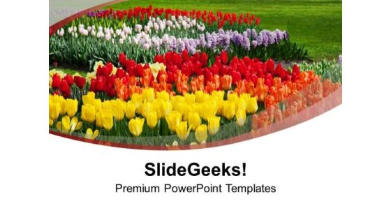 Multi Color Beautiful Flowers Nature PowerPoint Templates Ppt Backgrounds For Slides 1212 Multi Color Beautiful Flowers Nature PowerPoint Templates Ppt Backgrounds For Slides 1212