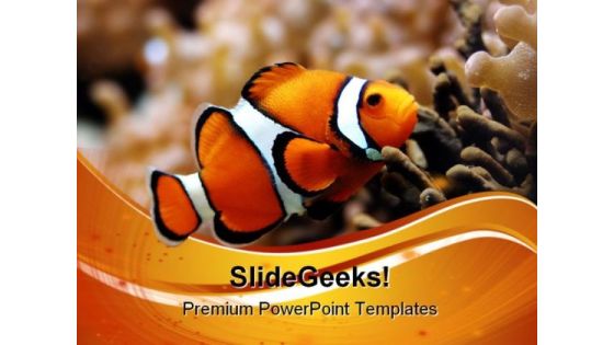 Nemo Animals PowerPoint Templates And PowerPoint Backgrounds 0511