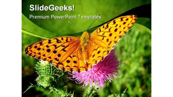 Orange Butterfly Animals PowerPoint Themes And PowerPoint Slides 0211 Orange Butterfly Animals PowerPoint Themes And PowerPoint Slides 0211