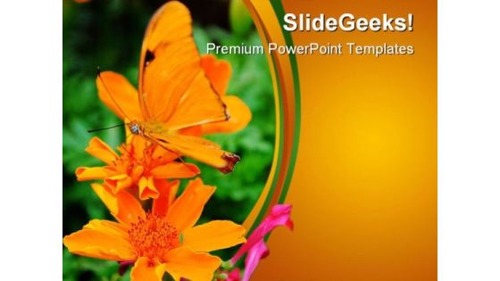Orange Butterfly Nature PowerPoint Themes And PowerPoint Slides 0211 Orange Butterfly Nature PowerPoint Themes And PowerPoint Slides 0211