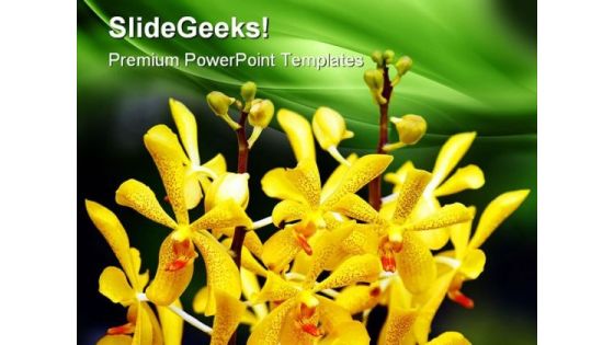 Orchids Flower Beauty PowerPoint Themes And PowerPoint Slides 0511 Orchids Flower Beauty PowerPoint Themes And PowerPoint Slides 0511