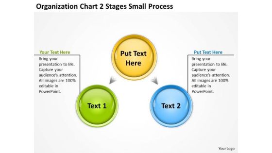 Organization Chart 2 Stages Small Process Ppt Business Plan Definition PowerPoint Slides