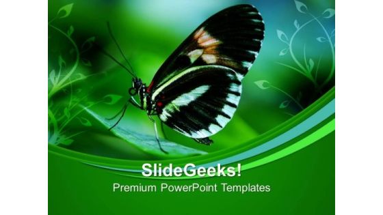 Papilio Butterfly On Leaves Nature PowerPoint Templates Ppt Backgrounds For Slides 0213 Papilio Butterfly On Leaves Nature PowerPoint Templates Ppt Backgrounds For Slides 0213