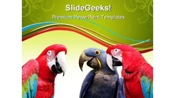 Parrot Meeting Animals PowerPoint Themes And PowerPoint Slides 0611 Parrot Meeting Animals PowerPoint Themes And PowerPoint Slides 0611