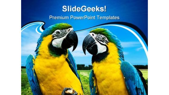 Parrots In Love Beauty PowerPoint Themes And PowerPoint Slides 0211 Parrots In Love Beauty PowerPoint Themes And PowerPoint Slides 0211