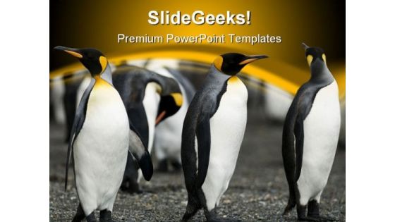 Penguin Animal PowerPoint Template 0810 Penguin Animal PowerPoint Template 0810