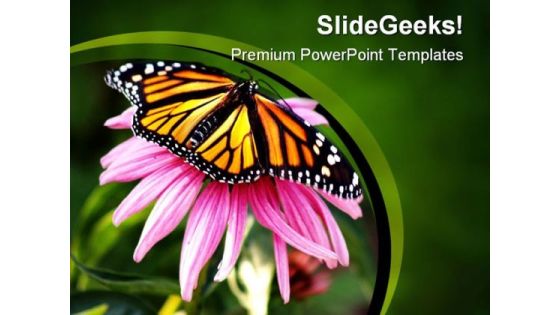 Pink Flower And Butterfly Animals PowerPoint Templates And PowerPoint Backgrounds 0111 Pink Flower And Butterfly Animals PowerPoint Templates And PowerPoint Backgrounds 0111
