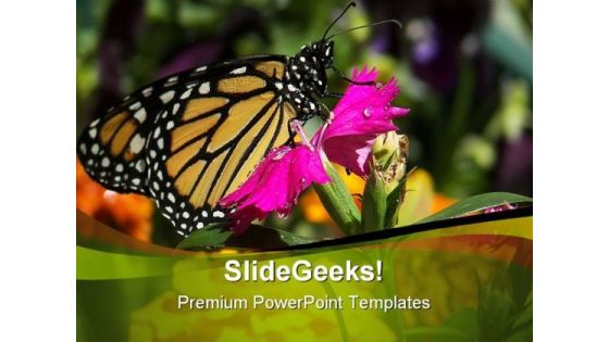 Pink Flower And Butterfly Beauty PowerPoint Themes And PowerPoint Slides 0211 Pink Flower And Butterfly Beauty PowerPoint Themes And PowerPoint Slides 0211