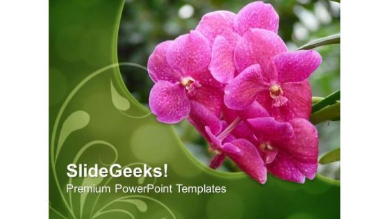 Pink Flower With Green Background PowerPoint Templates Ppt Backgrounds For Slides 0613