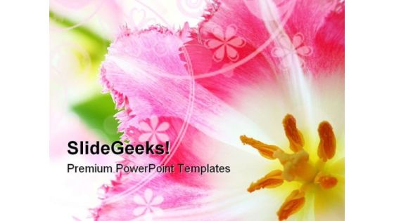 Pink Tulip Nature PowerPoint Themes And PowerPoint Slides 0211 Pink Tulip Nature PowerPoint Themes And PowerPoint Slides 0211