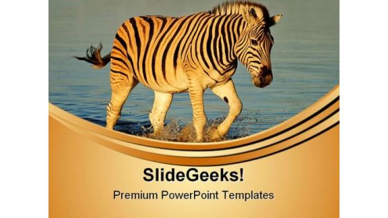 Plains Zebras Animals PowerPoint Templates And PowerPoint Backgrounds 0611 Plains Zebras Animals PowerPoint Templates And PowerPoint Backgrounds 0611