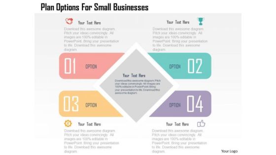 Plan Options For Small Businesses Presentation Template Plan Options For Small Businesses Presentation Template