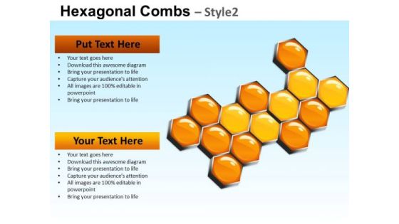 PowerPoint Templates Business Success Hexagonal Combs Ppt Designs