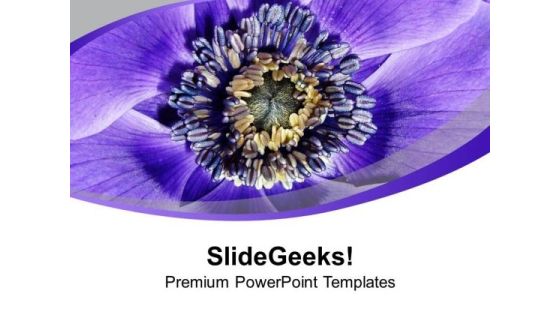 Purple Colored Flower Background PowerPoint Templates Ppt Backgrounds For Slides 0513 Purple Colored Flower Background PowerPoint Templates Ppt Backgrounds For Slides 0513