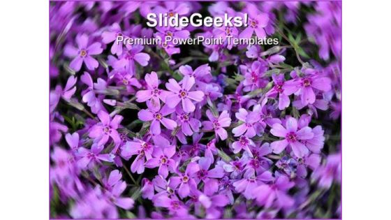Purple Flowers Nature PowerPoint Templates And PowerPoint Backgrounds 0211