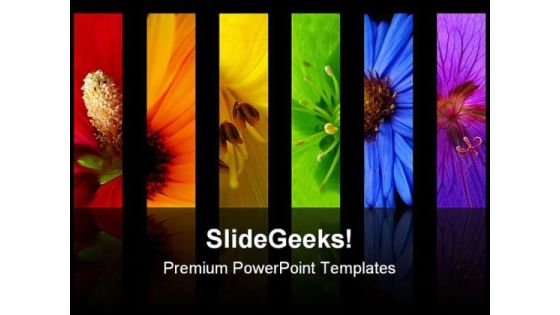 Rainbow Of Different Flowers Beauty PowerPoint Templates And PowerPoint Backgrounds 0311