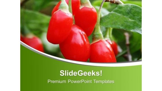Red And Chilli Pepper PowerPoint Templates Ppt Backgrounds For Slides 0613 Red And Chilli Pepper PowerPoint Templates Ppt Backgrounds For Slides 0613