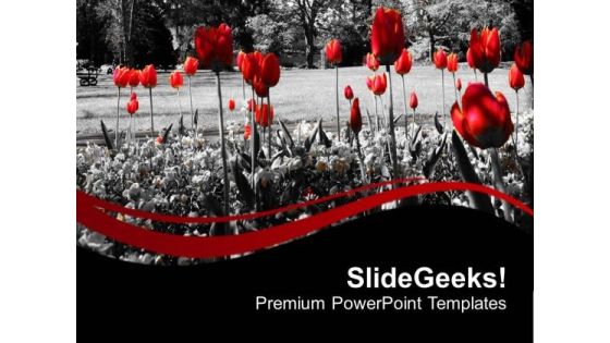 Red Flower With Black Background PowerPoint Templates Ppt Backgrounds For Slides 0713 Red Flower With Black Background PowerPoint Templates Ppt Backgrounds For Slides 0713
