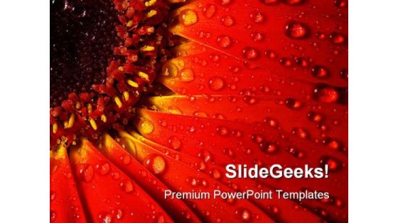 Red Gerbera Beauty PowerPoint Backgrounds And Templates 1210 Red Gerbera Beauty PowerPoint Backgrounds And Templates 1210