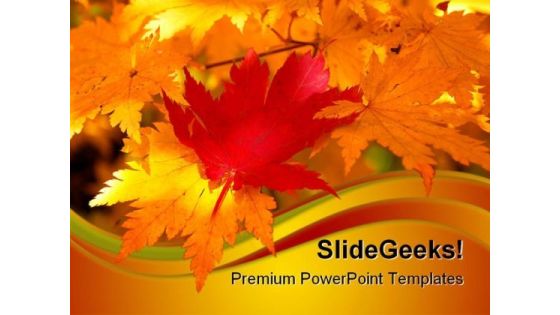 Red Maple Leaf Nature PowerPoint Themes And PowerPoint Slides 0611 Red Maple Leaf Nature PowerPoint Themes And PowerPoint Slides 0611