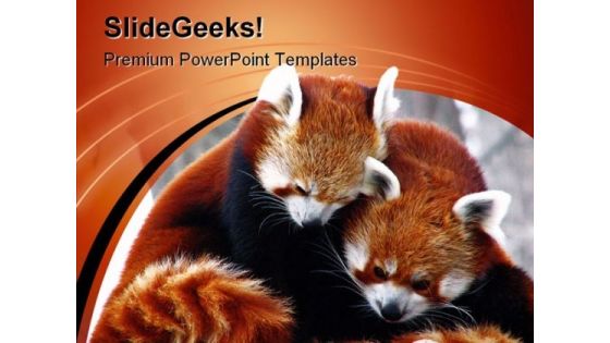 Red Pandas Cuddling Animals PowerPoint Templates And PowerPoint Backgrounds 0211