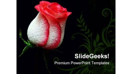 Red Rose Beauty PowerPoint Themes And PowerPoint Slides 0611 Red Rose Beauty PowerPoint Themes And PowerPoint Slides 0611