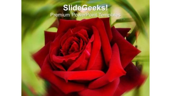 Red Rose With Green Background PowerPoint Templates Ppt Backgrounds For Slides 0613