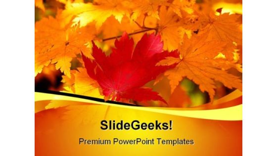 Red Yellow Maple Leaf Nature PowerPoint Templates And PowerPoint Backgrounds 0311 Red Yellow Maple Leaf Nature PowerPoint Templates And PowerPoint Backgrounds 0311
