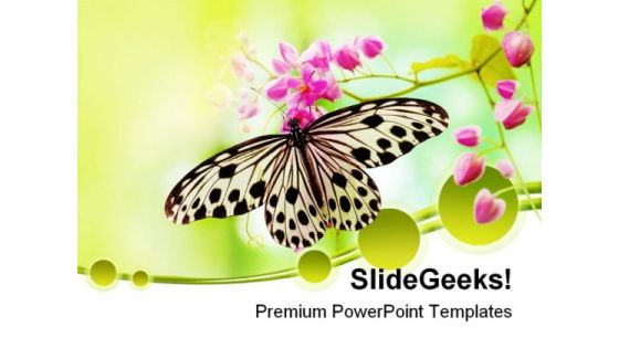 Rice Paper Butterfly Beauty PowerPoint Themes And PowerPoint Slides 0211 Rice Paper Butterfly Beauty PowerPoint Themes And PowerPoint Slides 0211