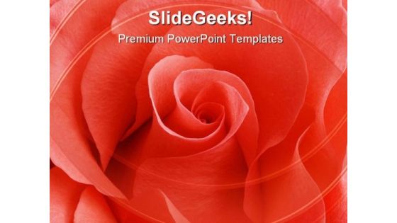 Rose01 Beauty PowerPoint Themes And PowerPoint Slides 0711 Rose01 Beauty PowerPoint Themes And PowerPoint Slides 0711