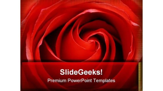 Rose Beauty PowerPoint Themes And PowerPoint Slides 0711 Rose Beauty PowerPoint Themes And PowerPoint Slides 0711