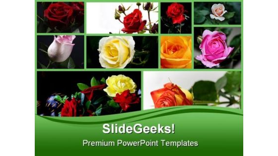 Rose Collage Beauty PowerPoint Backgrounds And Templates 0111 Rose Collage Beauty PowerPoint Backgrounds And Templates 0111