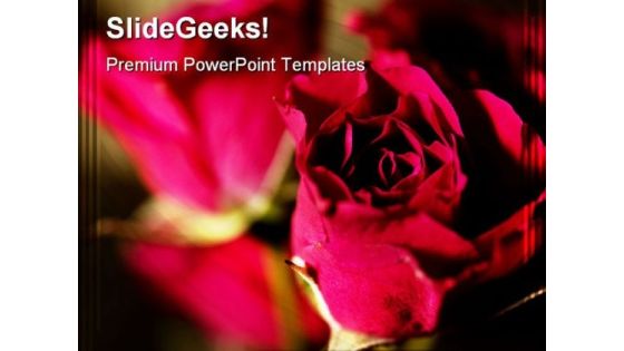 Roses Beauty PowerPoint Templates And PowerPoint Backgrounds 0311 Roses Beauty PowerPoint Templates And PowerPoint Backgrounds 0311