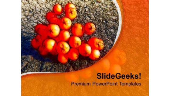 Rowenberries With Orange Background PowerPoint Templates Ppt Backgrounds For Slides 0613