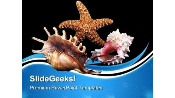 Seashell Composition Beach PowerPoint Templates And PowerPoint Backgrounds 0611 Seashell Composition Beach PowerPoint Templates And PowerPoint Backgrounds 0611