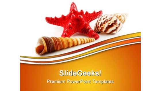 Seashells Starfish Animals PowerPoint Themes And PowerPoint Slides 0511 Seashells Starfish Animals PowerPoint Themes And PowerPoint Slides 0511