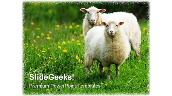 Sheep In Dandelion Field Animals PowerPoint Themes And PowerPoint Slides 0211 Sheep In Dandelion Field Animals PowerPoint Themes And PowerPoint Slides 0211