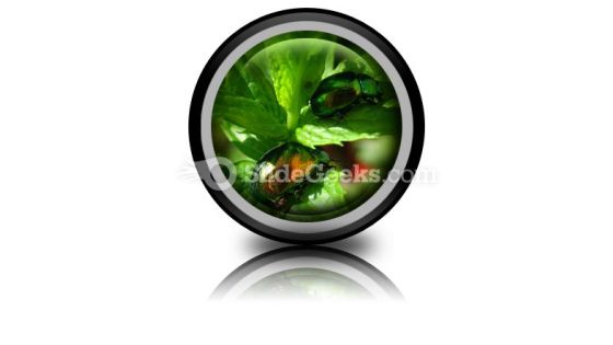Shiny Beetles PowerPoint Icon Cc Shiny Beetles PowerPoint Icon Cc