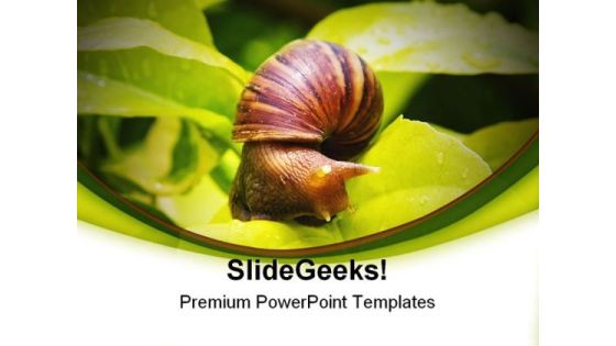Snail Animals PowerPoint Templates And PowerPoint Backgrounds 0111 Snail Animals PowerPoint Templates And PowerPoint Backgrounds 0111