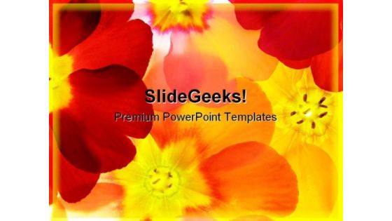 Spring Primula Beauty PowerPoint Templates And PowerPoint Backgrounds 0311 Spring Primula Beauty PowerPoint Templates And PowerPoint Backgrounds 0311