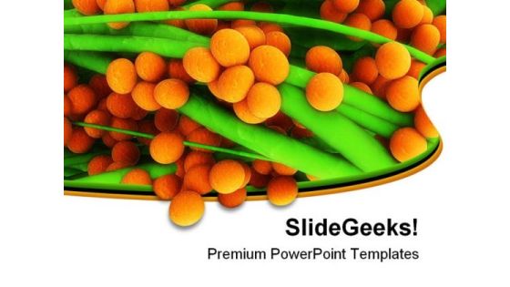 Staphylococcus Food PowerPoint Templates And PowerPoint Backgrounds 0411