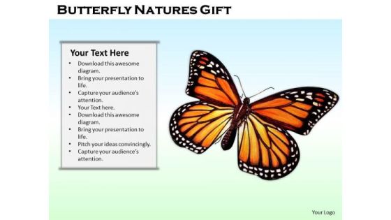 Stock Photo Butterfly Natures Gift PowerPoint Template Stock Photo Butterfly Natures Gift PowerPoint Template